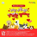 닥터파인드 이미지