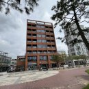 하운드호텔 대천해수욕장 이미지