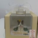 노랭보랭 이미지