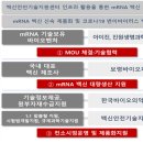 재단법인백신안전기술지원센터 이미지