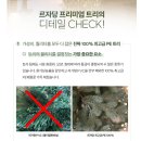 르자당판교 | 크리스마스 트리에 진심인 자의 트리 고르기 "르자당 트리"🎄