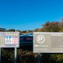 중문대포주상절리대 이미지