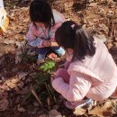 강원경찰청어린이집 이미지