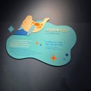 해양생태전시관 | 시흥 해양생태과학관 후기, 주말 아이랑 가볼 만한 곳 추천