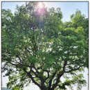 축현3리 경로당 이미지