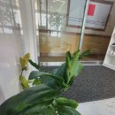 회복지압원 이미지