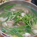 능이찬가 이미지