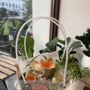 황소-유토피아 이미지