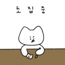 케이투수학초등학원