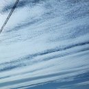 금일동초등학교 이미지