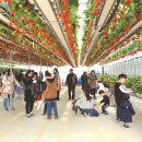 오로정승마을 영농조합법인 이미지