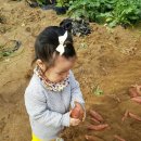라원 이미지