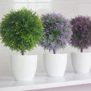 계절의집 이미지