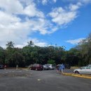 루우루우 | 빅아일랜드 가볼만한 곳, 푸나루우 블랙 샌드 비치(Punaluu Black Sand Beach)