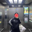 흥양송어횟집 | [경기도 양평] 독채 천연잔디 당일 애견 글램핑, 편안하개펜션
