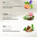 세타 | 올리오세타 올인원크림 열보호 손상모 헤어로션 내돈내산 후기