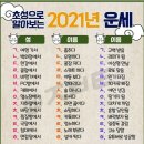 요거해 이미지