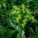 산책길에 이미지