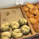 1344 | 영천카페 곡선커피 후기｜데이트하기 좋은 청통 한옥카페 (주차 넉넉, 디저트 맛집)