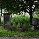 생명과 공존의 숲( 이미지