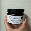 닥터캐닌 | 🐶 노령견 최배동 치아관리 시작! 닥터캐닌 유기농 로가닉 덴탈 솔직후기 내돈내산