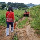 정수농장 이미지