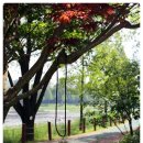 모그별