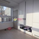 비즈트위트 블루 이미지