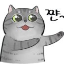 플라워돌스 이미지
