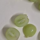 복주농장 이미지