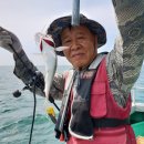 낚시프라자