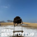 송파구 나들이 올림픽공원 나홀로나무 주차
