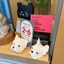 가온동물병원 | [부산 서구] 🐈‍⬛ 6살 고양이 건강검진 후기 🐈 &lt;가온동물병원&gt; - 내돈내산 솔직후기 대신동동물병원추천
