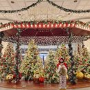 센텀해운대유치원 | [부산 해운대구] 크리스마스 트리 사진 찍기좋 실내...주차비용 코스 , 부산 센텀 신세계백화점 센텀시티점