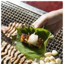 통영산곰장어 이미지