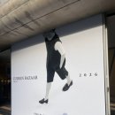 입장-05 | 쿠에른 바자 2026 후기 | 입장방법부터 꿀팁까지