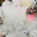 두암동물병원 이미지