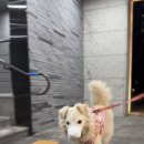 멍스크