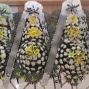 광명성애병원 이미지