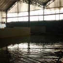 생극낚시터 이미지