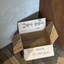 그레이그로브 | 제주 여행 I 서귀포 사계해안 근처 소금빵 파는 느좋 카페 ‘그레이 그로브’ 내돈내산 후기