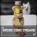 포미병과 이미지