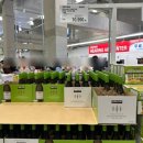 엘지농원 2 | 할인 많은 코스트코 2월 첫째주