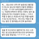 타로와 사주 저렴히 봐드립니다 이미지