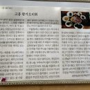 도라지식당 이미지