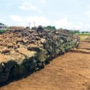 옛 정의현성 이미지