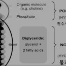 세종코코약국 이미지