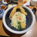 대덕대로249번길 | 대전 둔산동 붓카케 우동 맛집 [타츠진 우동] 내돈내산 후기