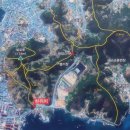 수협 앞 횡단보도 이미지