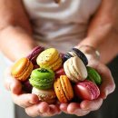 드루와드루와 이미지